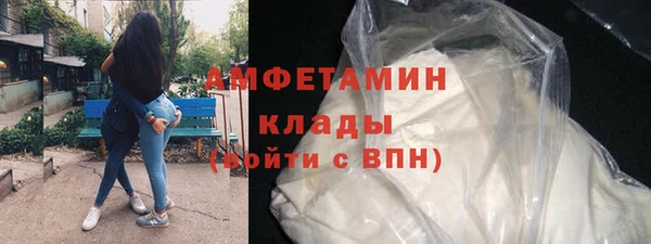 дживик Горняк