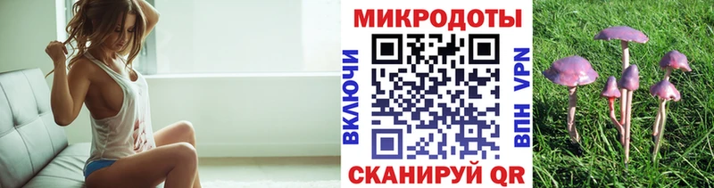 Псилоцибиновые грибы ЛСД  где найти наркотики  Ефремов 